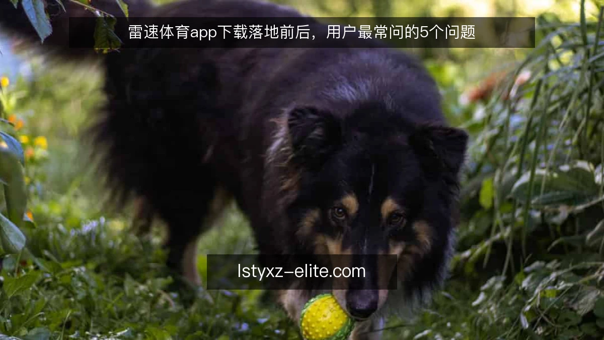 雷速体育app下载落地前后，用户最常问的5个问题